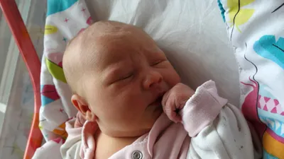 Stella